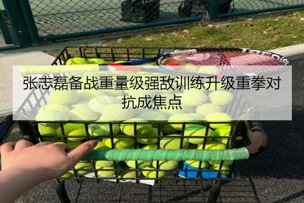 张志磊备战重量级强敌训练升级重拳对抗成焦点