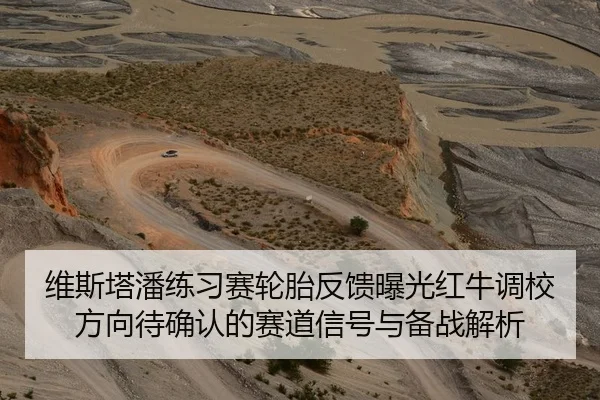 维斯塔潘练习赛轮胎反馈曝光红牛调校方向待确认的赛道信号与备战解析