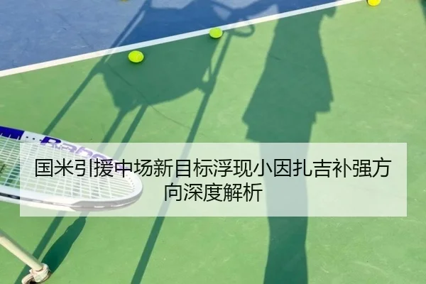 国米引援中场新目标浮现小因扎吉补强方向深度解析