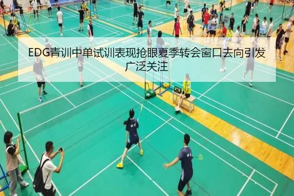 EDG青训中单试训表现抢眼夏季转会窗口去向引发广泛关注